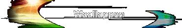 Waailappen